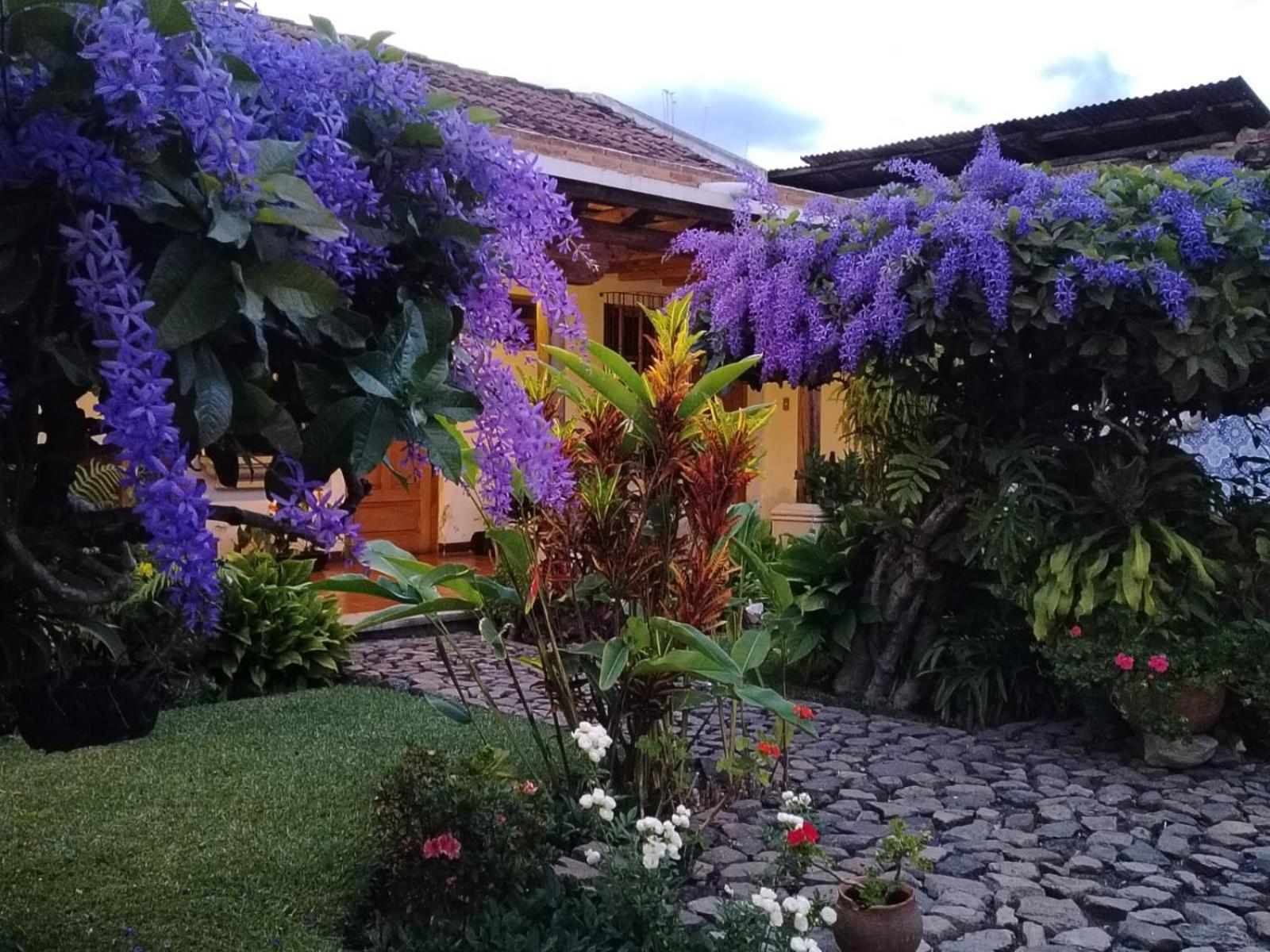 Hostal San Nicolas Antigua Luaran gambar