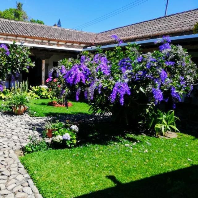 Hostal San Nicolas Antigua Luaran gambar
