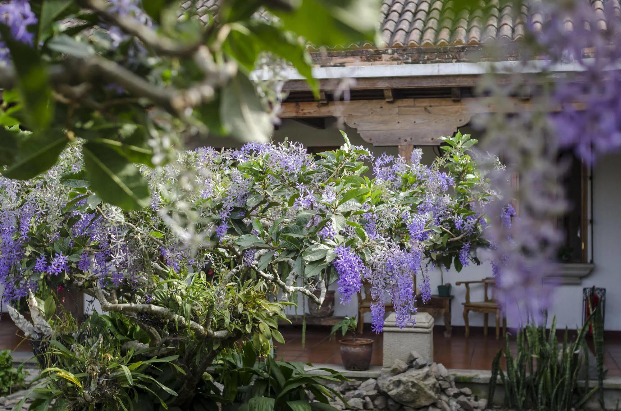 Hostal San Nicolas Antigua Luaran gambar